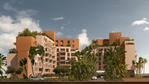 Complex blocks among palm trees