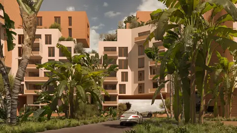 Inner courtyard with a tropical garden